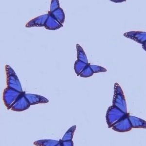 Meet your Posher, Keyla